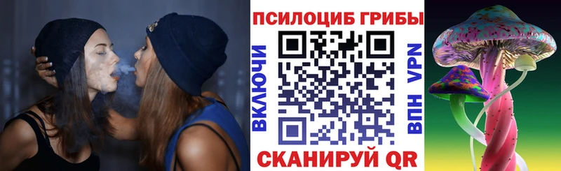 Псилоцибиновые грибы Psilocybine cubensis  купить  сайты  Советская Гавань 